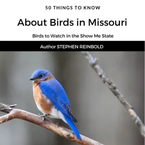 50 Things to Know About Birds in Missouri book cover featuring a bluebird perched on a branch, written by Stephen Reinbold