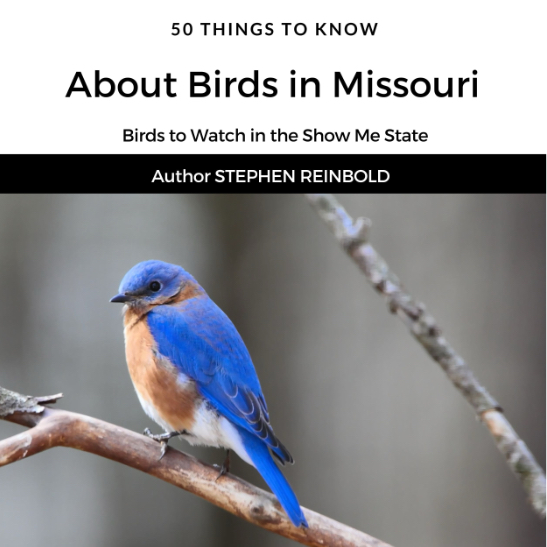 Book Cover: 50 Things to Know About Birds in Missouri